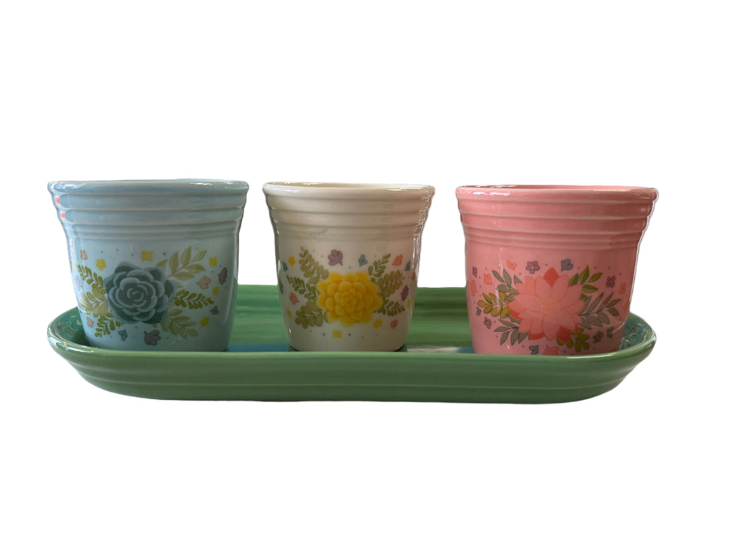 Fiesta  Succulents  Flower Pot Set FTC HLCCA Outlet Exclusive