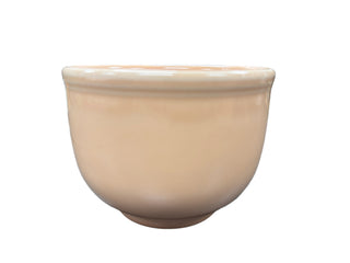 Fiesta Apricot Chili  Jumbo Bowl