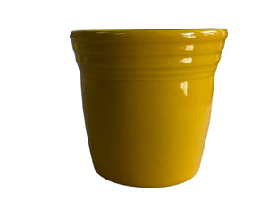 Fiesta Daffodil  planter pot New 1st Quality